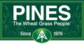 Pines International Pines International